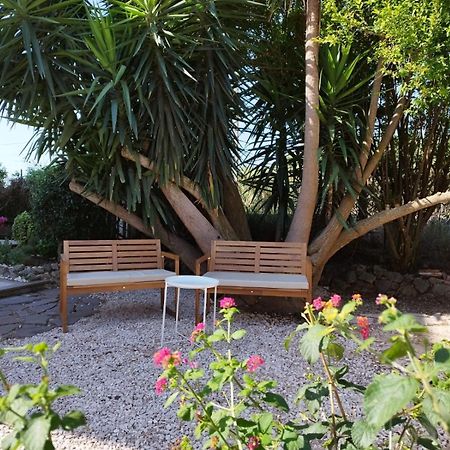 La Domus Di Cosa Bed & Breakfast Ansedónia Екстериор снимка