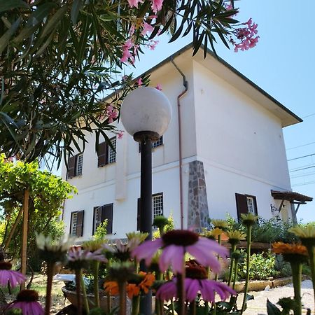 La Domus Di Cosa Bed & Breakfast Ansedónia Екстериор снимка