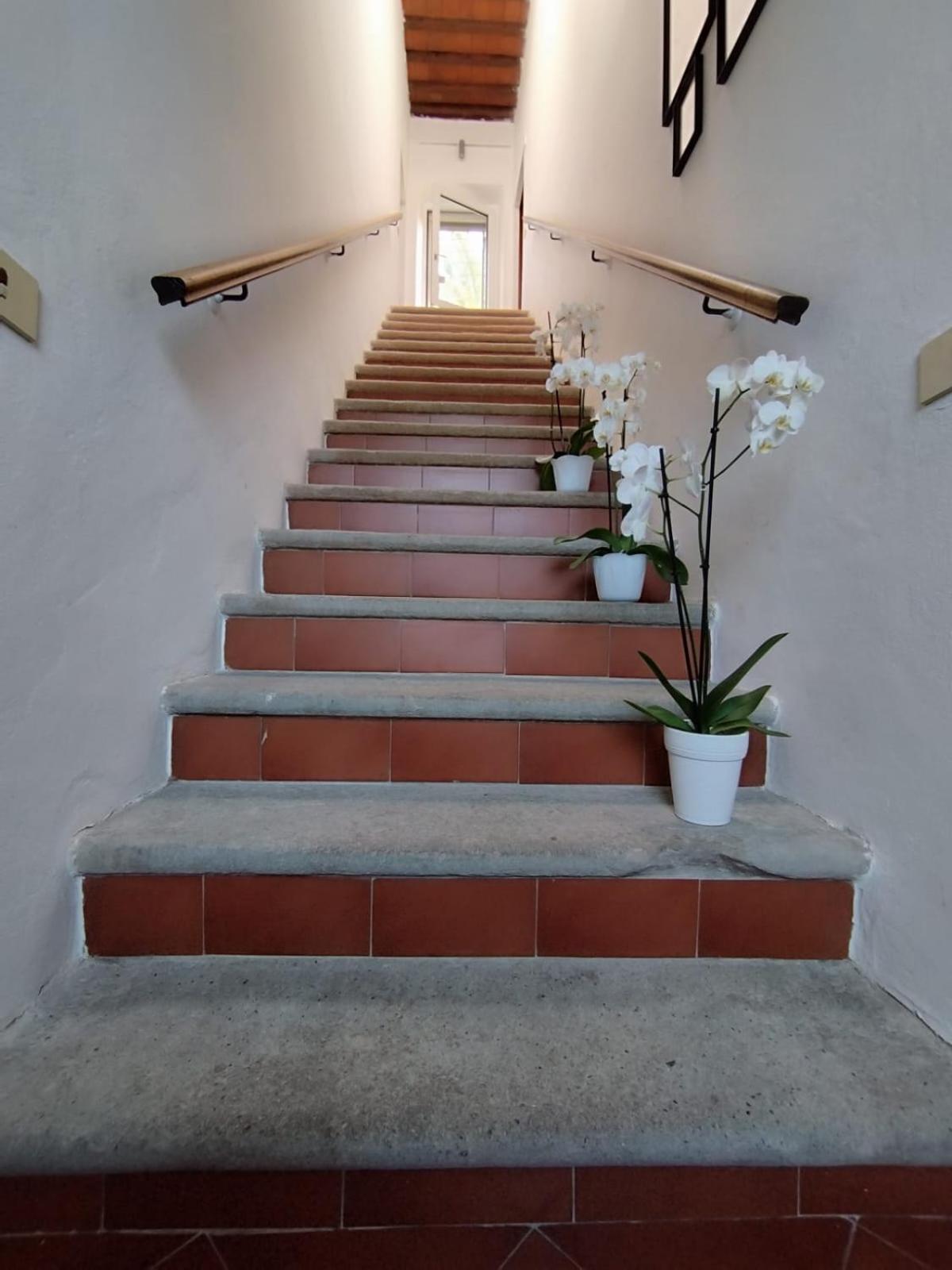 La Domus Di Cosa Bed & Breakfast Ansedónia Екстериор снимка