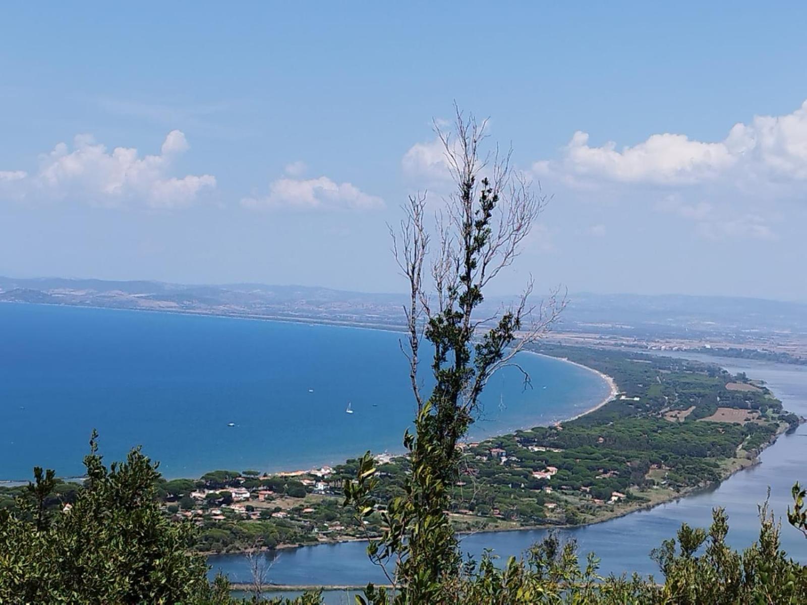 La Domus Di Cosa Bed & Breakfast Ansedónia Екстериор снимка