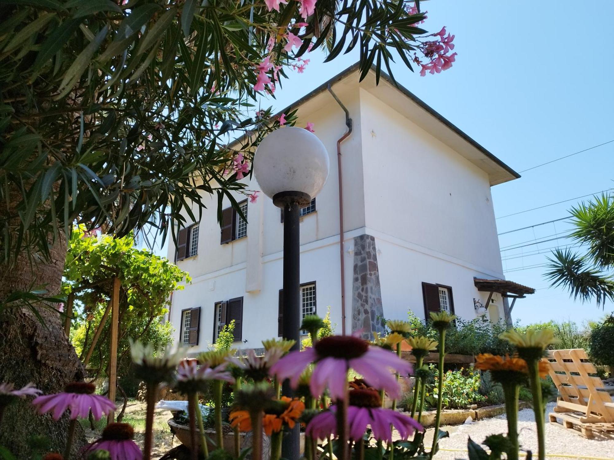 La Domus Di Cosa Bed & Breakfast Ansedónia Екстериор снимка