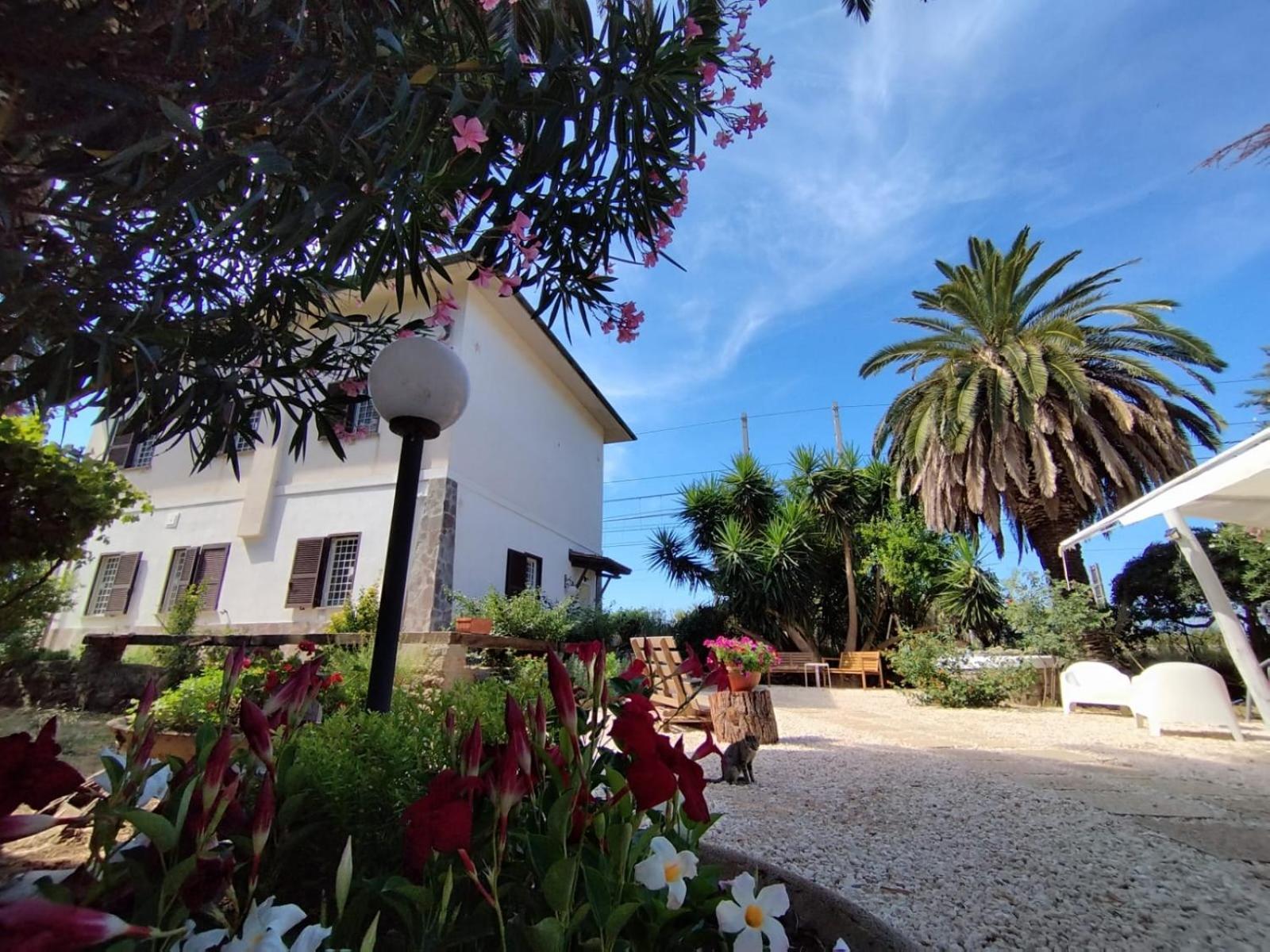 La Domus Di Cosa Bed & Breakfast Ansedónia Екстериор снимка